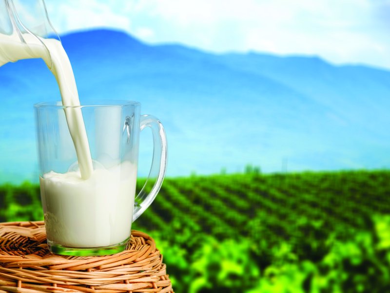 Óle Farms UHT Milk being poured fresh